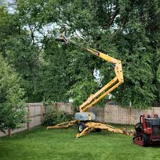 Best Lawn Watering Services  in Gholson, TX