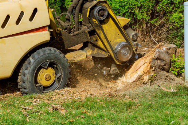 Best Lawn Drainage Solutions  in Gholson, TX