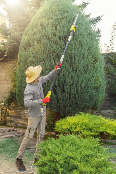 Best Arborist Consultation Services  in Gholson, TX
